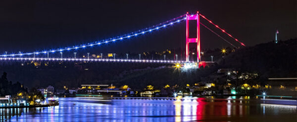 MyBricks Knowledge Base - Investor Tier